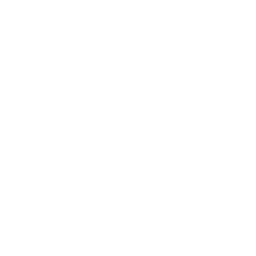 日本語での配信が可能